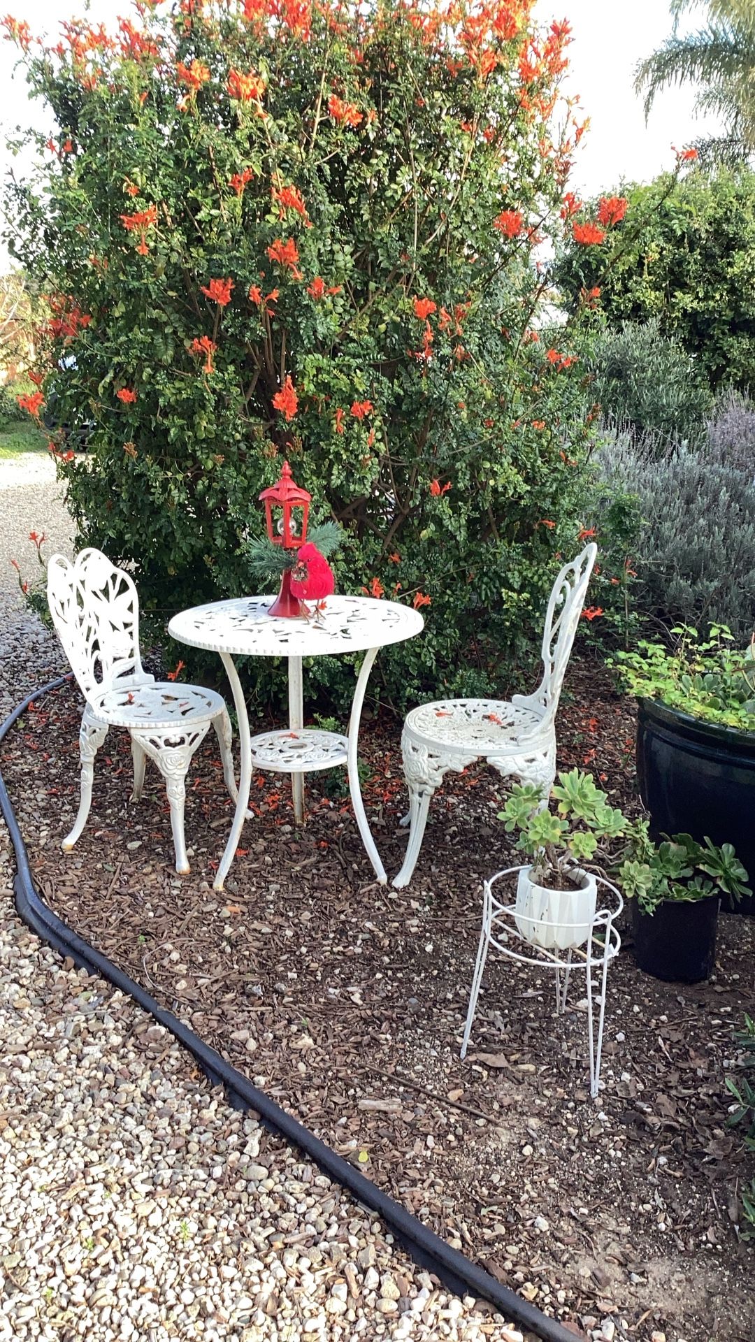 Garden Table