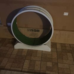 Treadmill For Cats