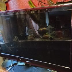 46 Inch Samsung TV.