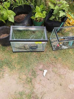 2 10 gallons fish tanks