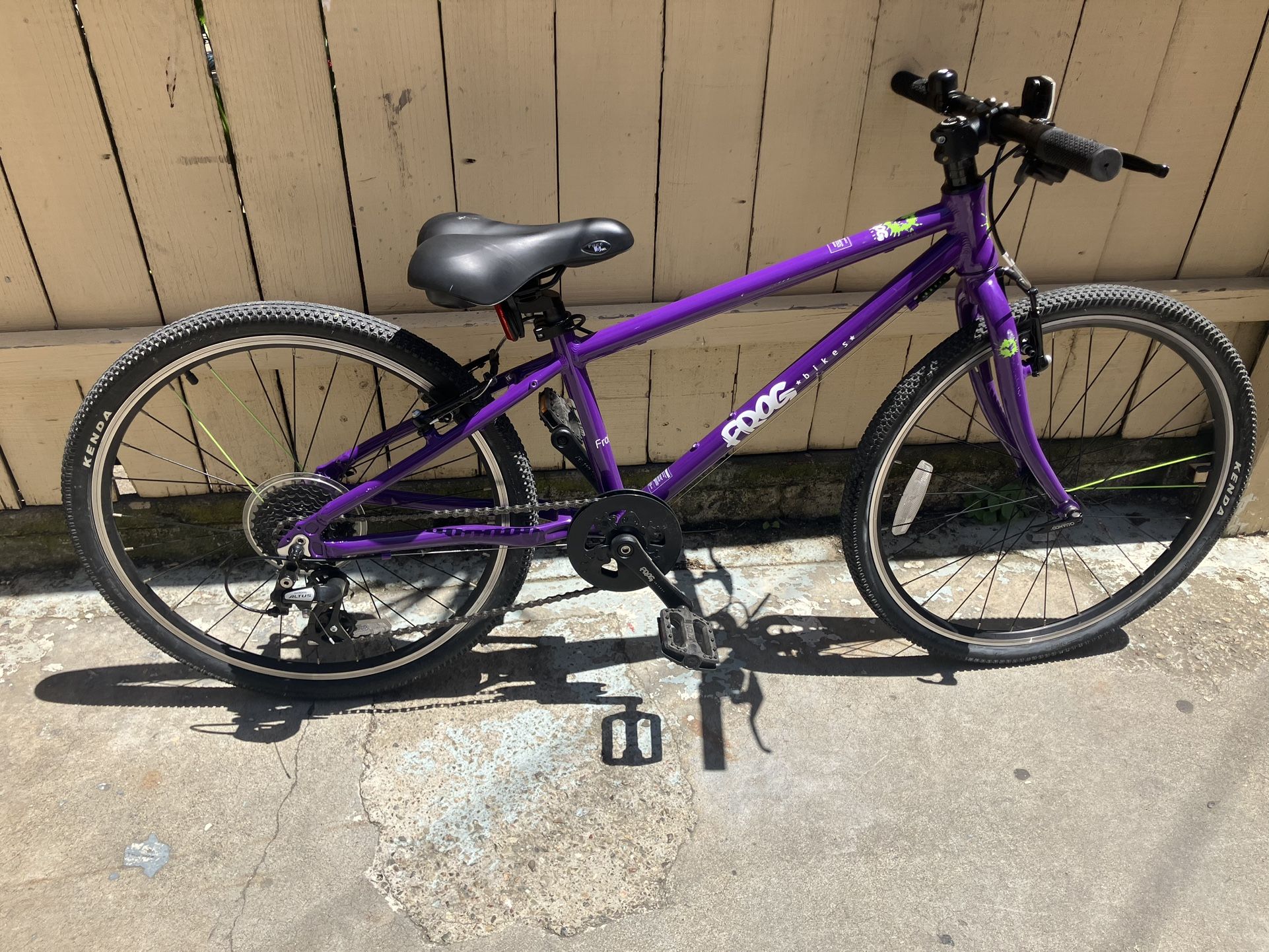 Frog Bike For Kids (Girls)