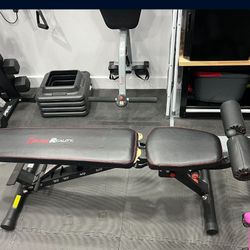 Fitness Reality Bench -pick Up Only 
