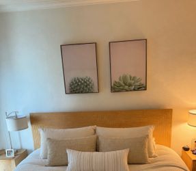 2 cactus canvas pics