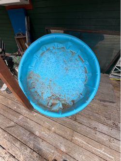 Dog pool