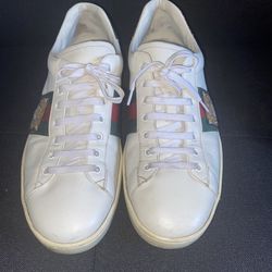 Gucci Ace