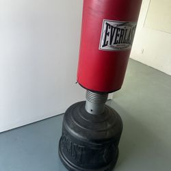 Everlast Punching Bag, Adult/Child Height Adjustment. Boxing, MMA 