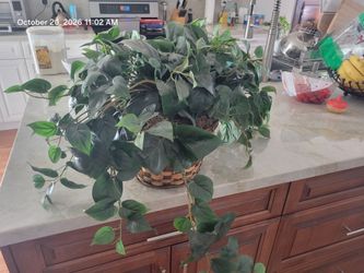 Artificial Silk Plant