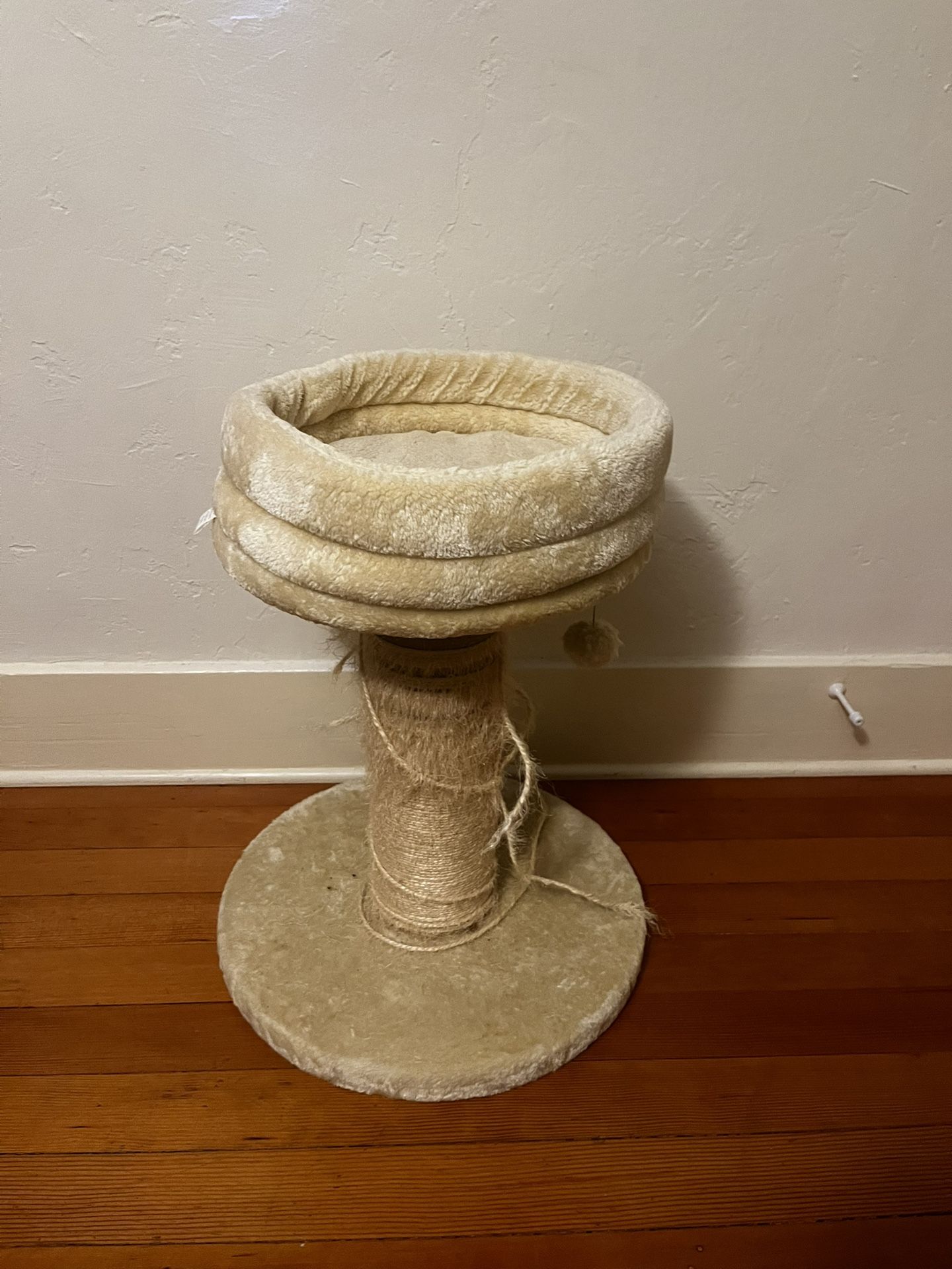 Cat Bed