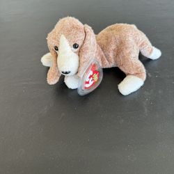 TY Beanie Baby Dog Named Sniffer 