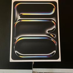 iPad Pro