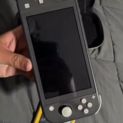 Two Nintendo Switches Light