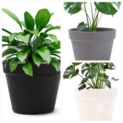 6" Plant Pot 2-Pack Black, Gray OR White