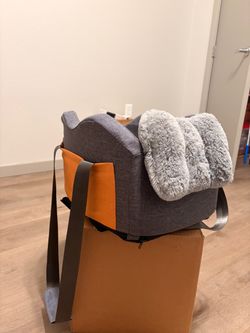 Dog car seat