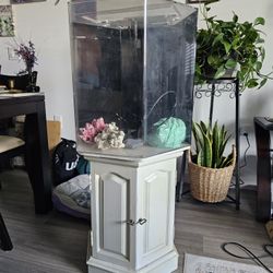 Hexagon Aquarium That Comes With Small Supplies