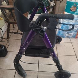 Nice Reversible Walking Chair