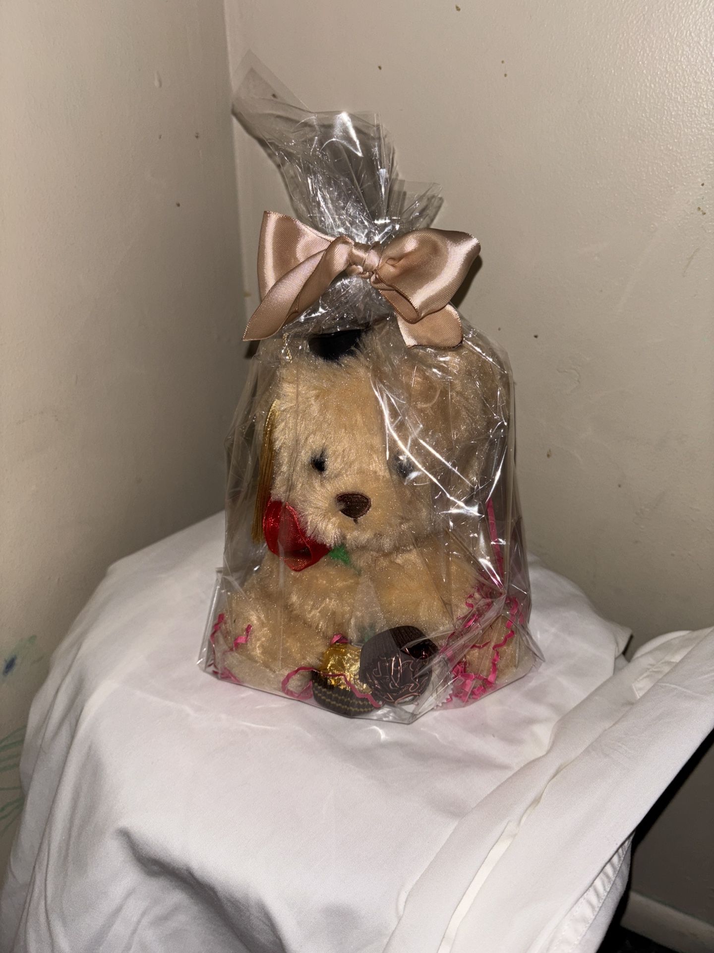 Small Graduation Teddy Bear