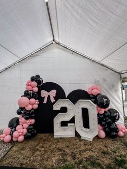 Backdrop Set Up