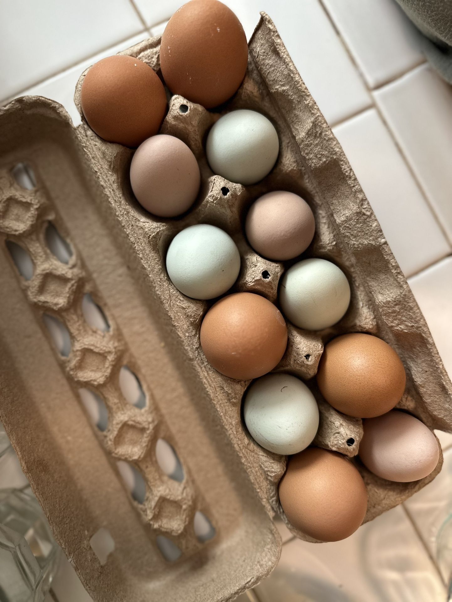 Organic Fed Chicken Eggs 