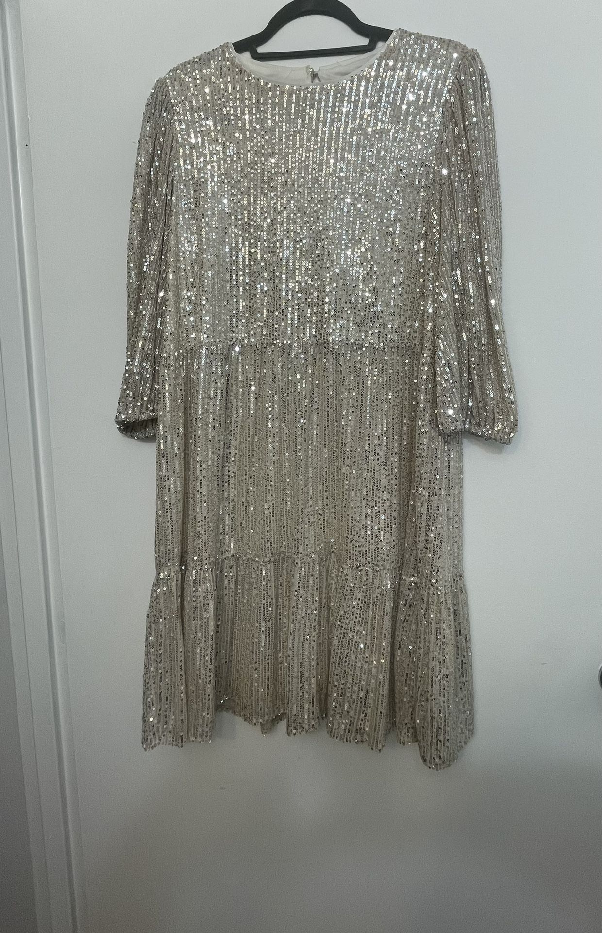 Sequin Silver Dress