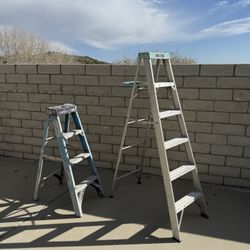 4ft & 6ft Ladders