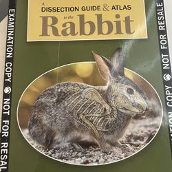 Dissection Guide And Atlas Rabbit