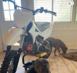 2024 klx 110L