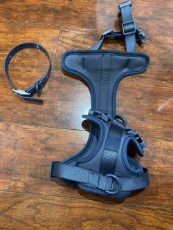 Wild One Collar And Harness 
