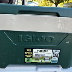 Igloo Cooler 