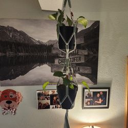 Dbl homemade macrame plant hanger with pothos starts