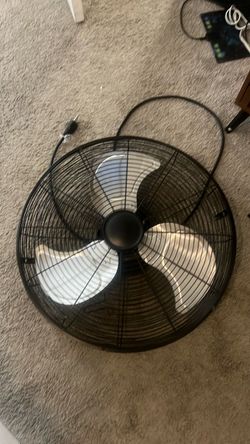 Fan