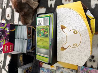 Pokémon TCG Card Collection with Box