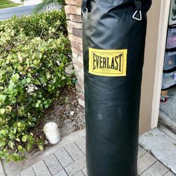 Everlast 70 lb Heavybag 