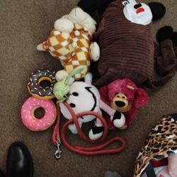 Dog Toys 