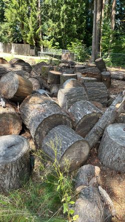 Douglas fir fire wood rounds for sale