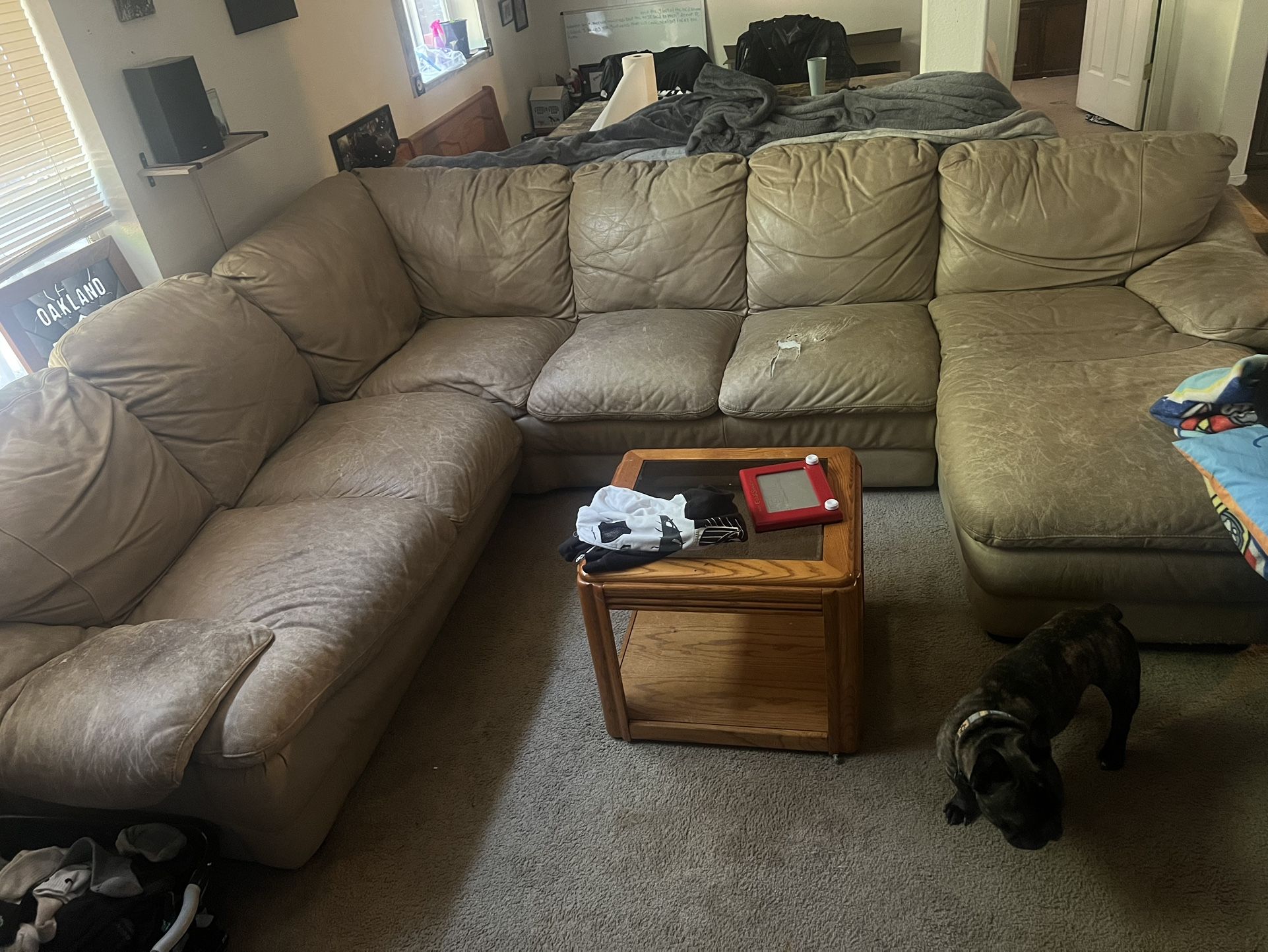 Sectional Couch