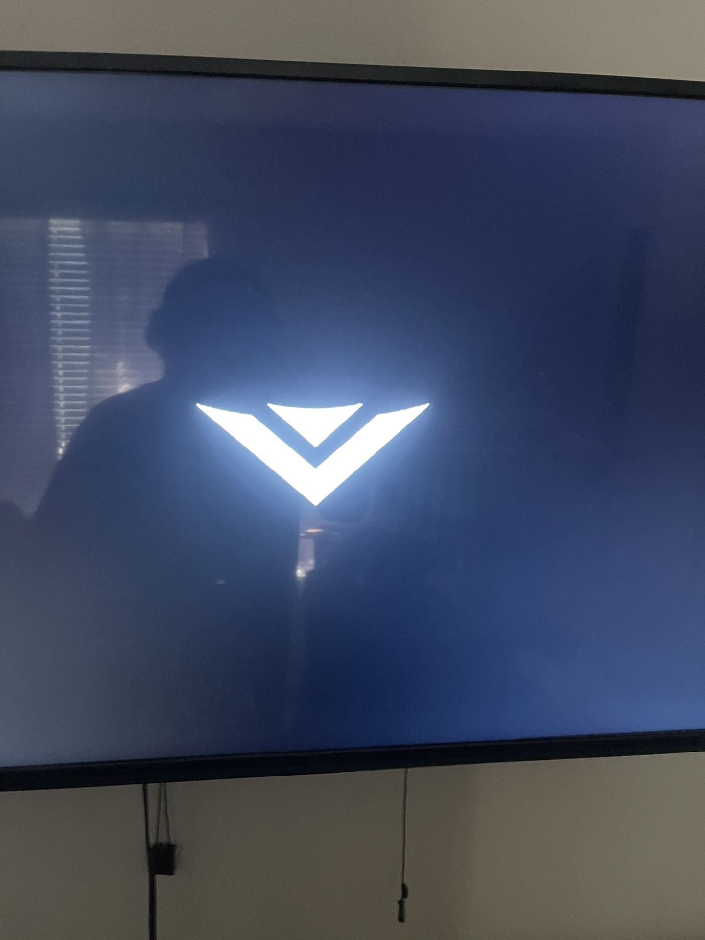 vizio flatscreen tv