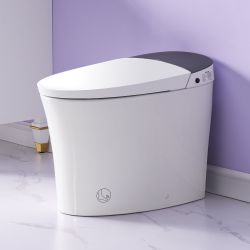 Elongated Smart Bidet Toilet in White with Built-in Tank, Foot Sensor Function, Auto Flush,LED Display, 12-in Rough-In 1.6 GPF