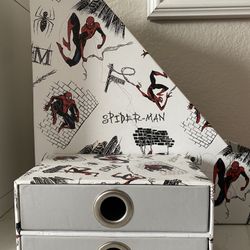 Spiderman Desk Organizer