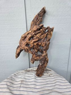 Driftwood