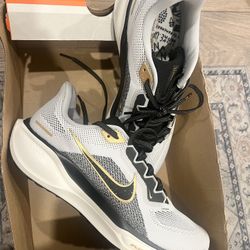 Nike Air Zoom Pegasus 41 'Light Smoke Grey Metallic Gold' HQ3220-100