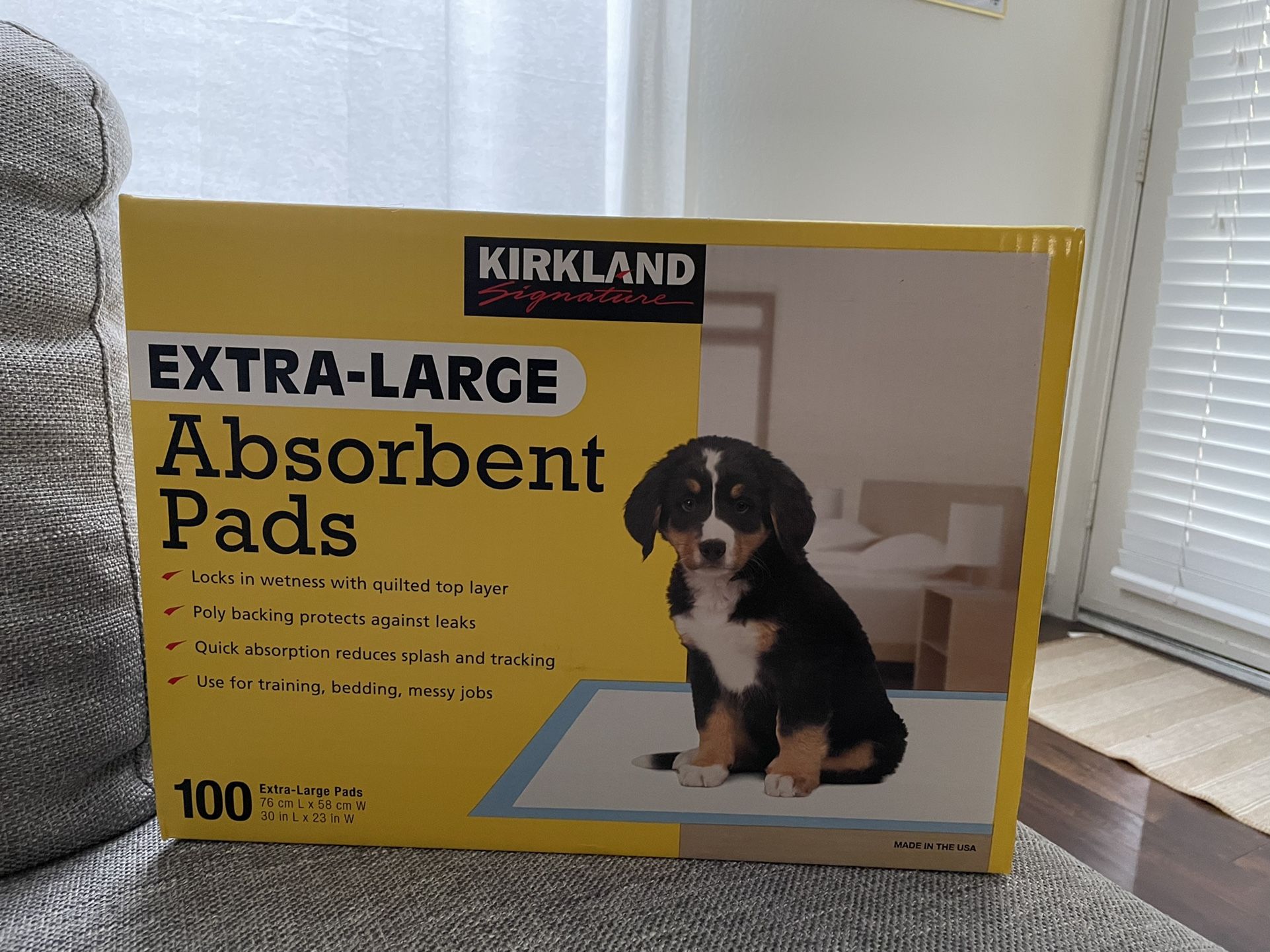 Puppy Pads/Absorbent Pads