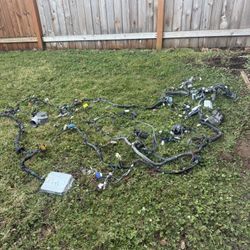 Rx7 Fc Chassis Harness 