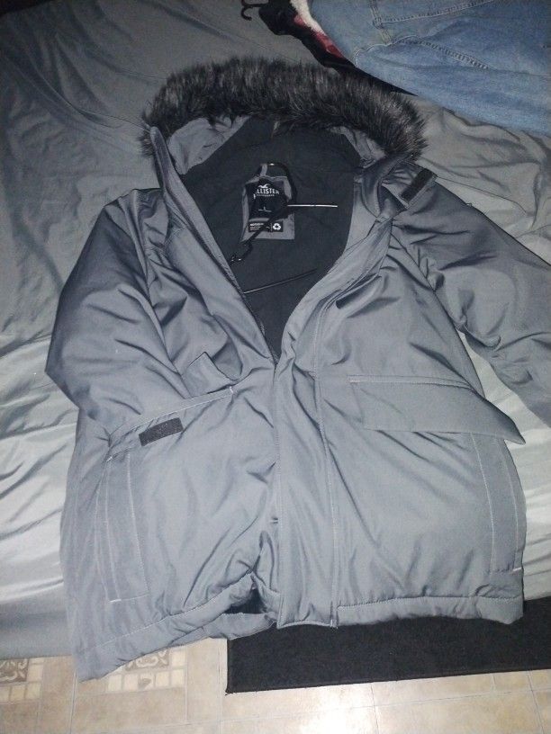 Hollister Jacket