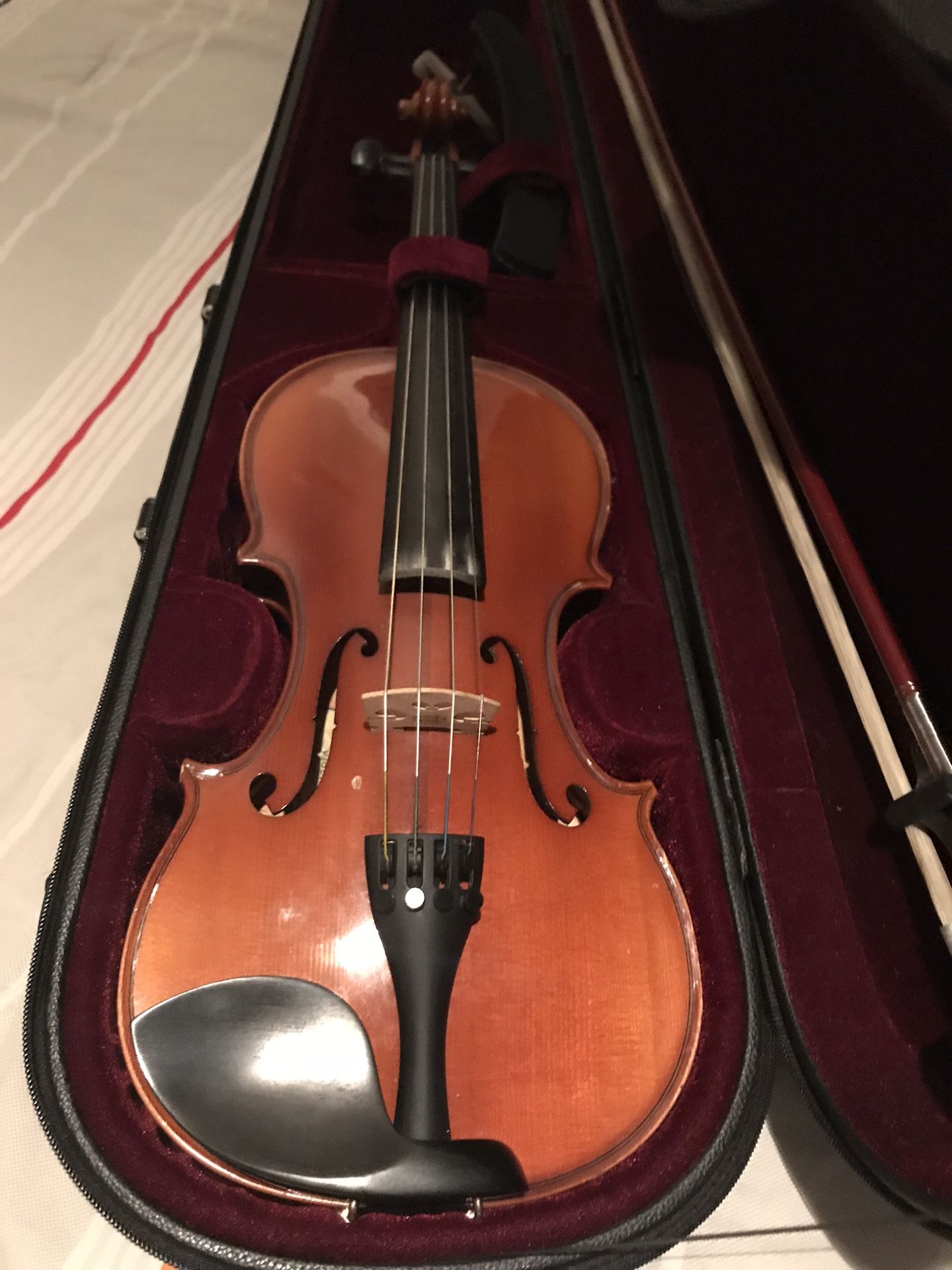 Violin 🎻 musical instrument
