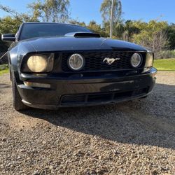 2008 Mustang GT Premium