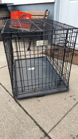 dog cage
