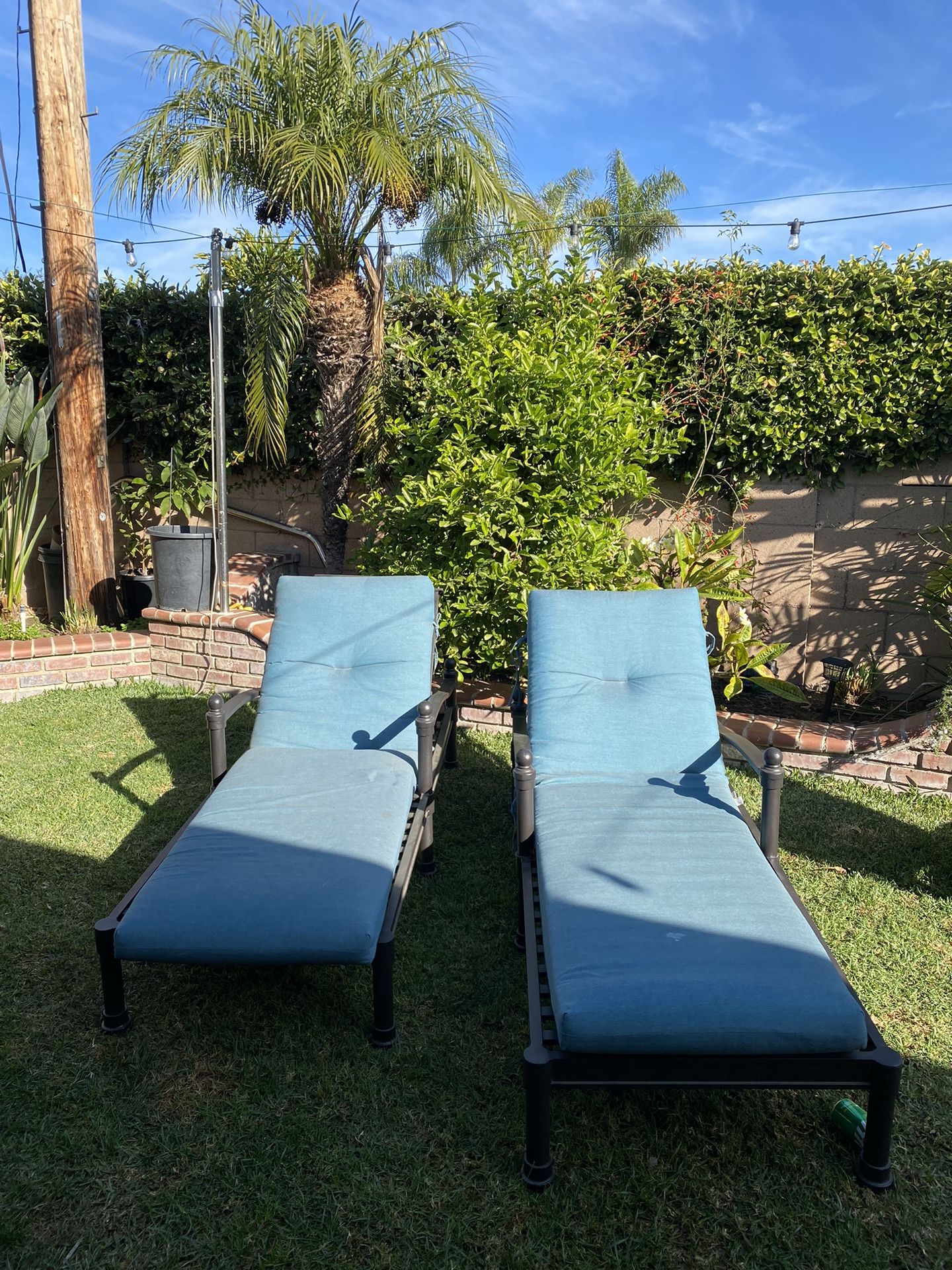 Relaxing Pool Chair’s