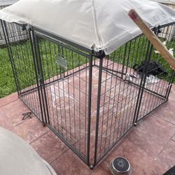 !!DOG KENNEL!!