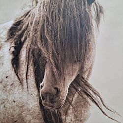 HOLA BUSCO HABITACION INDEPENDIENTE CON TODOS LOS  SERVICIOS INCLUIDOS Y ESTACIONAMIENTO EN EL NORTE DE DALLAS.. NO VICIOS ,NO DRAMAS Y MUY RESPETOSO 