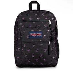 Jansport pink bows backpack set. *USED*